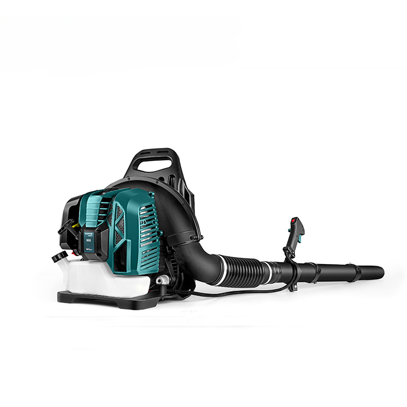 Two-stroke backpack hair dryer - Backpacks recension och pris